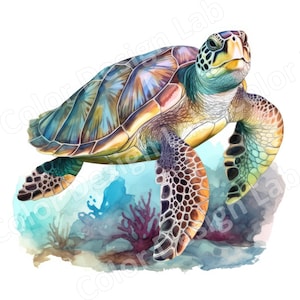 Sea Turtle Printable Clipart, 8 High-resolution Images, Digital ...