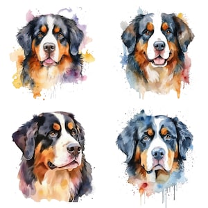 Berner Sennenhund Aquarell Kunstdruck, sanfter Riesenhund Portrait, digitaler Download, Berner Clipart, Hundeliebhaber Geschenk, druckbare Wandkunst