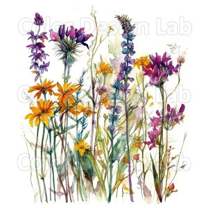 Wildblumen Skizze Clipart - 8er Set hochwertige handgezeichnete PNG, kommerzielle Nutzung, sofortiger digitaler Download