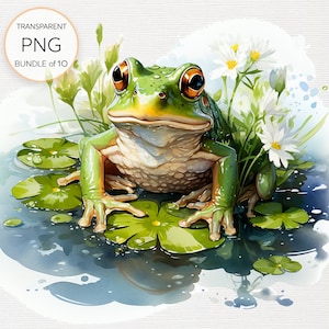 Clipart de sapo em lírio - adorável ilustração de anfíbio PNG, gráficos de vida em lagoa para projetos criativos