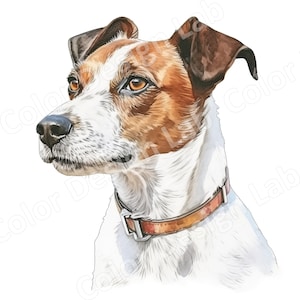 Jack Russell Terrier Set von 8 hochauflösenden Clipart-Bildern, energetischer Jack Russell Terrier digitaler Download, kommerzielle Nutzung Art