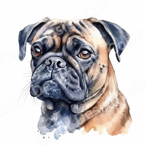 Entzückende Mops druckbare Clipart, 8 hochauflösende Mops Bilder, digitaler Download, Welpe Wandkunst, kommerzielle Lizenz