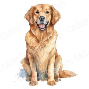 Golden Retriever Clipart Set van 8 PNGs, Digitale Download, Commercieel gebruik toegestaan, Perfect voor hondenliefhebbers, Kaarten maken, Uitnodigingen