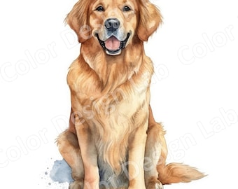 Golden Retriever Clipart Set of 8 PNGs, Digital Download, Commercial Use Allowed, Perfect for Dog Lovers, Card Making, Invitations