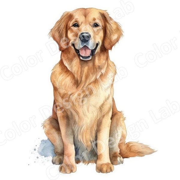 Golden Retriever Clipart Set of 8 PNGs, Digital Download, Commercial Use Allowed, Perfect for Dog Lovers, Card Making, Invitations