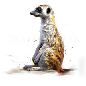 Glückliche Erdmännchen Clipart - 8 Stück Set druckbare PNGs, digitaler Download, kommerzielle Nutzung, hochwertige Kunst