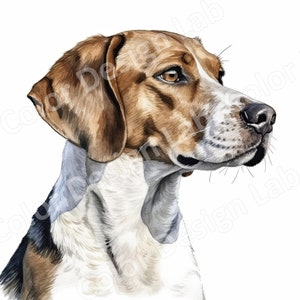 Entzückende Beagle Welpe Clipart, 8 hochauflösende druckbare Bilder, sofortiger Download, kommerzielle Nutzung, Welpe Kunst für Wanddekorationen