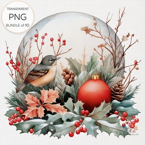 May include: A red Christmas ornament with a bird perched on a branch of holly and berries inside a glass dome. The ornament is surrounded by greenery and pine cones.