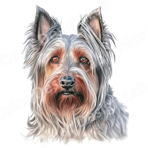 Temperamentvoller Silky Terrier digitaler Download, 8 hochauflösende Kunstbilder, druckbare Cliparts, kommerzielle Lizenz, Hundekunst-Wand-Dekor