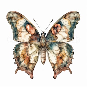 Komplizierte Schmetterling druckbare Clipart - 8 bunte Schmetterlinge PNG, digitaler Download, kommerzielle Nutzung, perfekt für Grußkarten