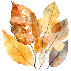 Amber Autumn Leaves Clipart - 8 Printable Autumn Leaves PNG, Téléchargement numérique de haute qualité, Utilisation commerciale autorisée, Art mural