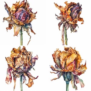 Fleur fanée Clipart - Ensemble de 12 PNG floral de haute qualité - Téléchargement numérique - Parfait pour la fabrication de cartes, les invitations, l'art mural et l'artisanat