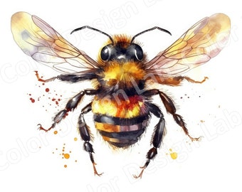 Hummel Aquarell Clipart Set: 8 PNGs, kommerzielle Lizenz (digitaler Download)
