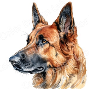 Pacote de clipart para impressão do pastor alemão leal, conjunto de 8 imagens de arte de alta resolução, download digital, arte de cachorro com licença comercial