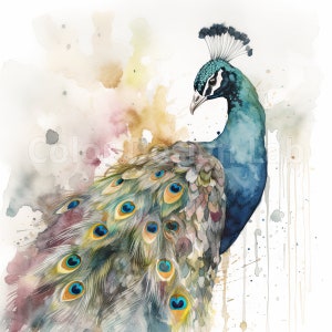 Arte imprimible de pavo real vibrante, conjunto de imágenes prediseñadas de pavo real de 8 PNG, descarga digital, uso comercial permitido, perfecto para tarjetas de felicitación arte de pared