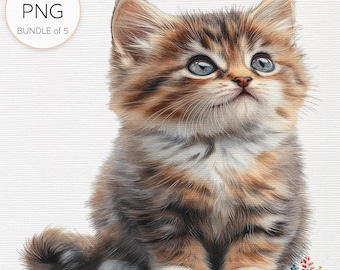 Watercolor Kitten Clipart Bundle: Transparent PNG Images for DIY Crafts