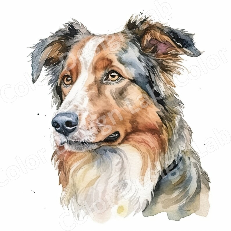 Australian Shepherd Clipart Loyal Aussie Set of 8 Printable - Etsy