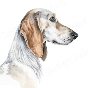 Graceful Saluki Clipart Bundle, 8 Digital Download Saluki Art Images, Licence commerciale, Art mural de race de chien haute résolution