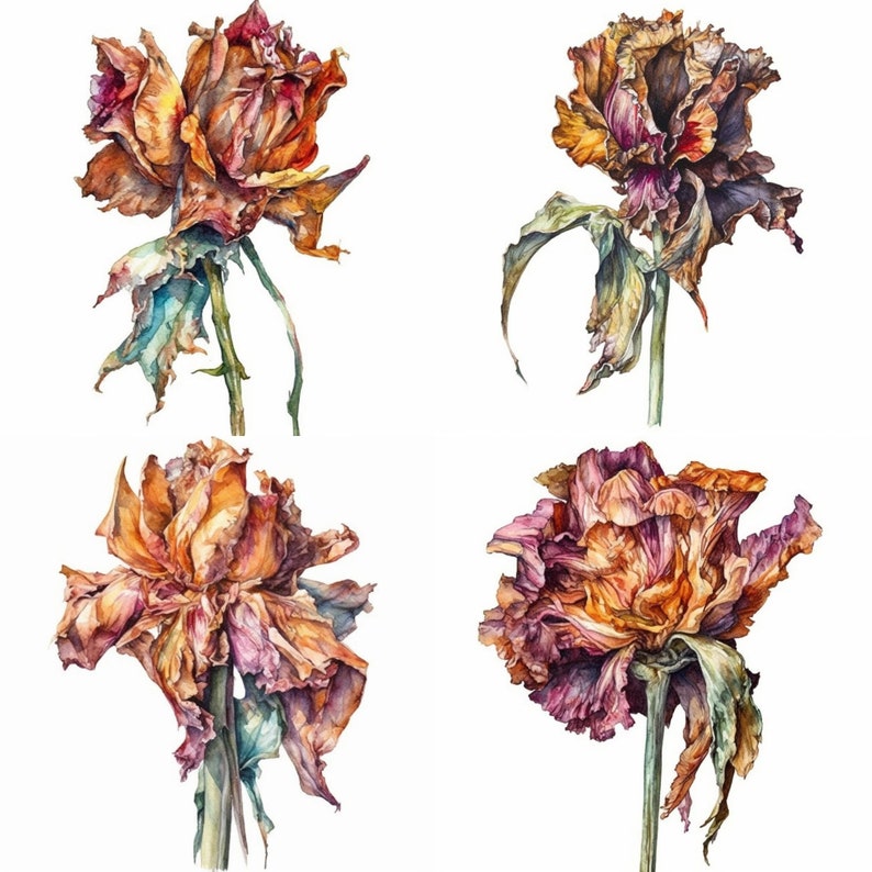 Wilted Flower Clipart Set of 12