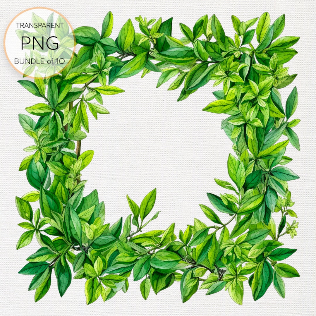 Green Plant Frames Clipart, Botanical Borders, Transparent PNG Format, Instant Download
