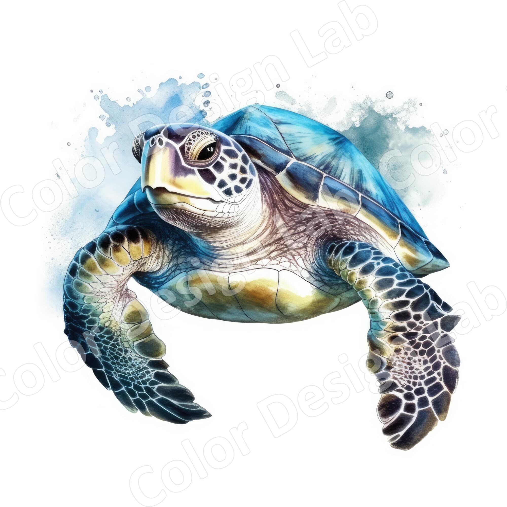 Sea Turtle Printable Clipart 8 High-resolution Images - Etsy