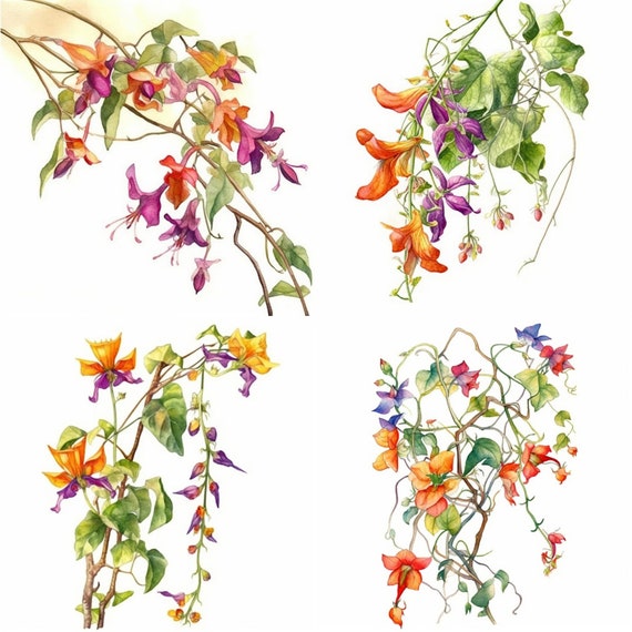 Aquarell-Cliparts mit floralen Ranken – Set mit 12 PNG-Blumenillustrationen (Digitaler Download)
