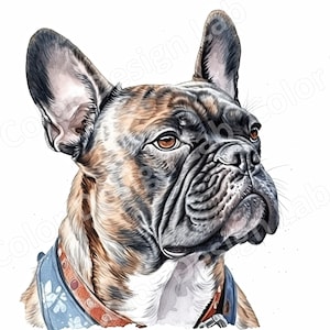Französische Bulldogge Art druckbare Clipart, 8 hochauflösende digitale Bilder, kommerzielle Nutzung Sofort Download, Hund Wandkunst