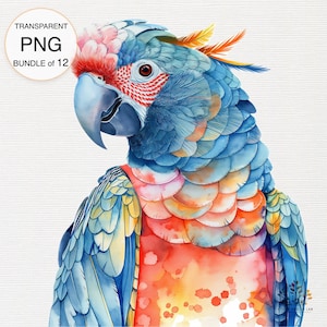Aquarell Papagei Clipart, Tropischer Vogel transparente PNG, digitaler Download, Kakadu Wildtier-Illustration, künstlerische Papagei Grafik
