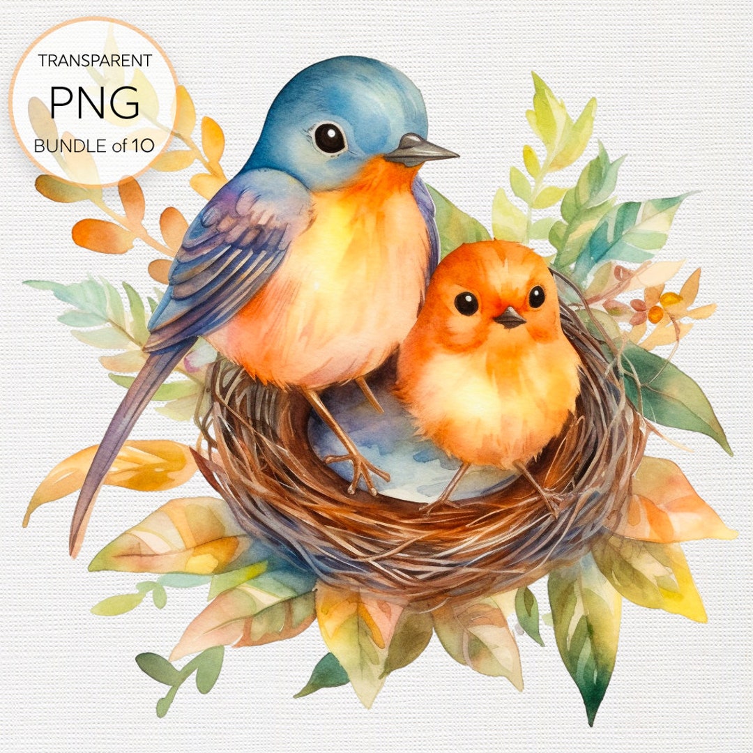 Cute Mother and Baby Bird Clipart - Adorable Avian Illustration PNG ...