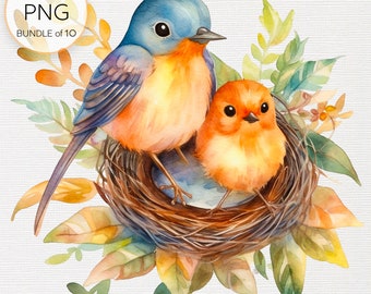 Mother and Baby Bird Clipart – Watercolor Avian Family PNG (Digital Download)