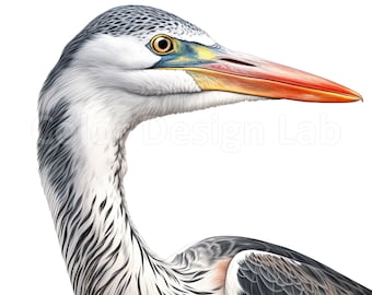 Imágenes prediseñadas de garza real para imprimir: conjunto de 8 PNG de alta calidad, descarga digital, uso comercial, decoración de pared