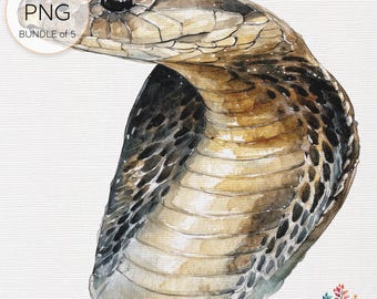 King Cobra Watercolor Clipart: Transparent PNG Bundle
