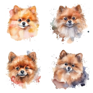 Pomeranian Watercolor Art Print, Dog Portrait, Digital Download, Pomeranian Clipart, Printable Wall Art, Dog Lover Gift, Home Decor