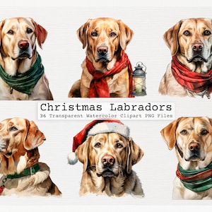 Lot de 36 cliparts Noël labrador, aquarelle transparente de qualité Png fichiers en téléchargement numérique sous licence commerciale téléchargement Png Noël