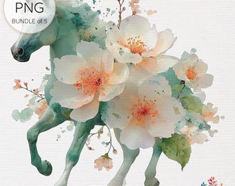 Floral Horse Watercolor Clipart Bundle: Transparent PNG Designs