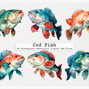 Cod Fish Clipart Bundle Of 36 Quality Transparent Watercolor Png Digital Download Files Commercial License Download Png Cod Fish Clipart