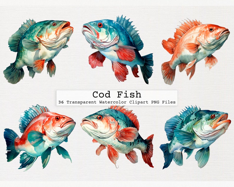 Cod Fish Clipart Bundle of 36 Quality Transparent Watercolor Png ...