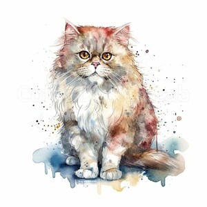 Bundle Clipart chat persan - 8 PNG d’art imprimable haute résolution, téléchargement numérique, utilisation commerciale, téléchargement immédiat