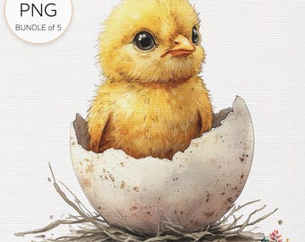 Easter Chick Watercolor Clipart Bundle: Spring Crafts PNG (Digital Download 3600x3600 px )