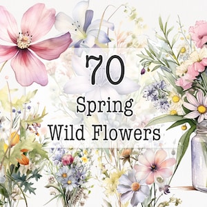 Clipart bouquet di fiori di campo dell'acquerello, opere d'arte stampabili dipinte a mano, grafica digitale del prato, design botanico naturale, illustrazione fai da te