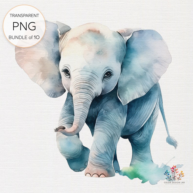 Cute Baby Elephant Clipart Collection: Set of 10 Transparent PNG ...