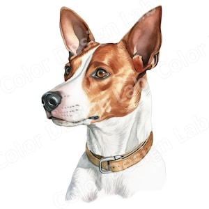 Neugierige Basenji druckbare Clipart-Set, 8 hochauflösende Hundebilder, digitaler Download, Basenji-Kunst, kommerzielle Lizenz