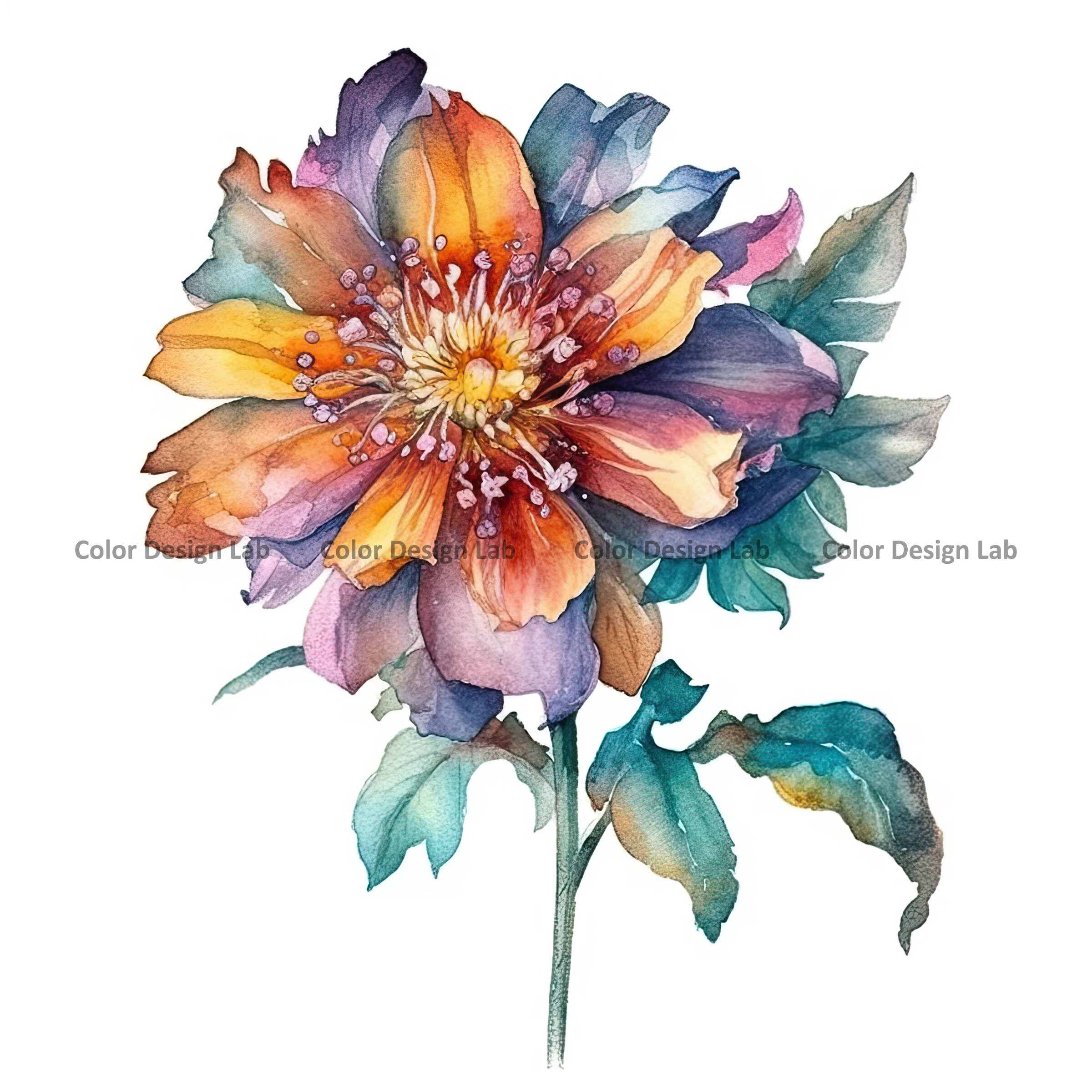 Boho Flower Clipart Set: Watercolor Floral PNG Images (digital Download ...