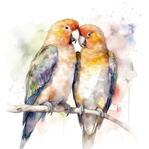 Inséparables perche Clipart imprimable - 8 oiseaux PNG, téléchargement numérique, haute résolution, licence commerciale, parfait pour les Invitations, Art mural
