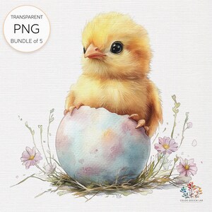 Easter Chick Watercolor Clipart Bundle: Spring Crafts PNG (digital ...