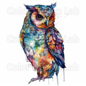 Eule Illustration 8er-Pack Clipart-Set - hochwertige druckbare Kunst, digitaler Download, PNG-Dateien, kommerzielle Nutzung erlaubt
