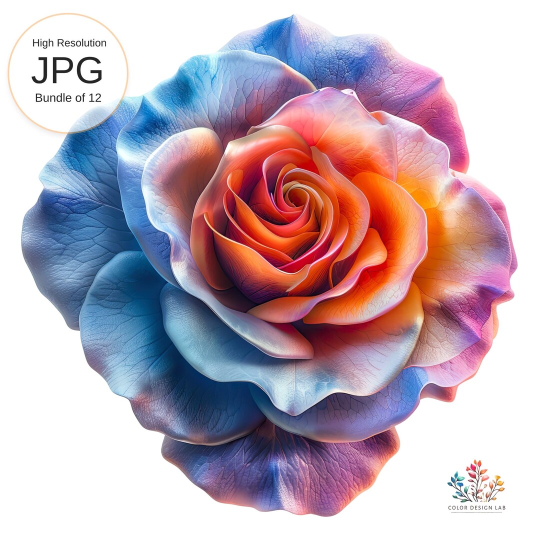Rose, Watercolor Rose Clipart, Floral Digital Download, 12 JPG High ...