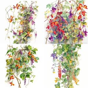Reben mit Blumen Clipart - Set von 12 hochwertigen floralen Ranken PNG - digitaler Download - perfekt für Kartenherstellung, Einladungen Wandkunst