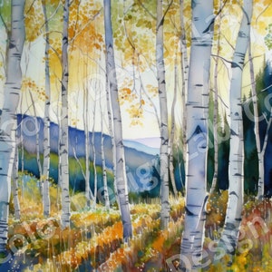 Sunlit Birch Forest Printable Wall Art Download, 4 Images PNG de bouleau haute résolution, Téléchargement numérique, Utilisation commerciale Forest Art