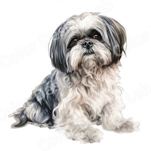 Calm Shih Tzu Digital Bundle, 8 Art Printables, Images haute résolution, Téléchargement à usage commercial, Instant Shih Tzu Dog Art Clipart